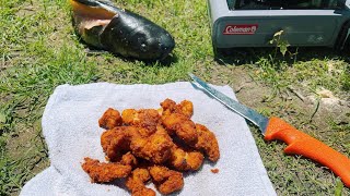 Catch And Cook Catfish On A Small Island in Hot Weather [upl. by Iel]