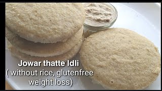 Jowar thatte idli  jowar recipes  jowar idli  no rice  breakfast dinner recipe indian [upl. by Gretchen]