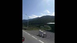 driving to Alaverdi Akhtala  Armenia [upl. by Hcir]