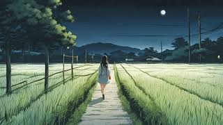 足に任せる夏の夜。LOFI BEATS CHILL OUT STUDY RELAXINGJAPANESE LOFI【作業用・勉強・リラックス】 [upl. by Cherian]