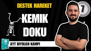 AYT Biyoloji Kampı  7 GÜN  Kemik Doku  yks2025 [upl. by Glynnis560]