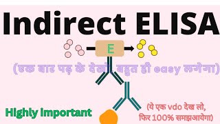 Indirect ELISA TYPES OF ELISA [upl. by Letsirk443]