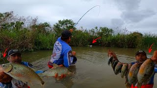 Pesca caipira com variedade de peixes na varinha de mão Foi de suspender [upl. by Yrehcaz690]