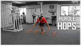 Single Leg MiniHurdle Hop  Balance amp Plyometric Workout [upl. by Miki]