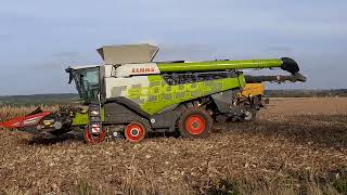 Mais dreschen mit New Holland CR10 und Claas Lexion mit Sonderlackierung 500000 sowie Fendt [upl. by Hselin805]