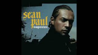 sean paul  temperature club remix [upl. by Dame]