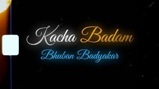 Kacha Badam Lyrics  English Translation  Bhuban Badyakar  Trending song  TrueTone kachabadam [upl. by Vanni]