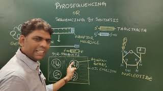 Pyrosequencing [upl. by Aronoh316]