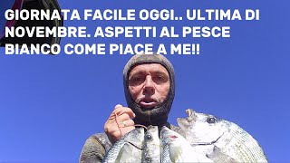 VIDEO PESCASUB LA MIA TECNICA PREFERITA NON C è SCAMPO NEL MAX DELLA SPORTIVITàspearfishing [upl. by Epstein]