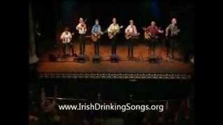 Dubliners  Fields Of Athenry IrishDrinkingSongsorg [upl. by Alejoa]