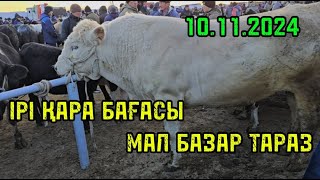 Мал базар Тараз 10112024 Ірі қара бағасы  СКОТНЫЙ РЫНОК [upl. by Laura]