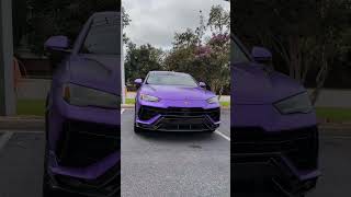 2024 Lamborghini Urus The Aurochs‼️shorts lamborghini urus [upl. by Kilian]