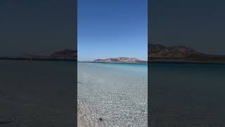 Spiaggia La Pelosa  Sardegna  Sardinian Beaches  Holidays  Relax eleonoramartis [upl. by Fielding]