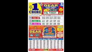 Nagaland lottery result today 8pm 01102024  morning Nagaland State Lottery Result Pdf [upl. by Knudson]