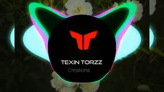 RAGHAD WAZZAN Arabic song trap remix Bass Boos TEDITEXIN TORZZ CREATIONS 2022 [upl. by Yerxa]