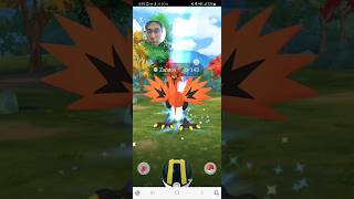 LOW CP Galarian Zapdos pokemongo pokemon galarianzapdos [upl. by Kaycee560]