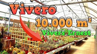 Visitamos vivero gigantePrecios PLANTAS Plantas para terarrios estanques huertoNUEVA SECCIÓN [upl. by Storz]