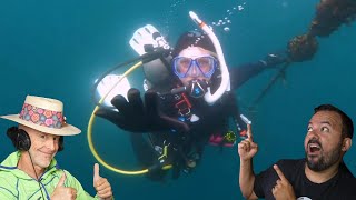 Divers React to Terrifying Wreck Experience [upl. by Templia]