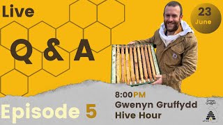 Gwenyn Gruffydd Hive Hour With Gruffydd Rees Q amp A  Episode 5 [upl. by Maddox288]