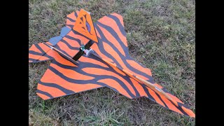 Walkaround and description of RC Profile F22 mid mounted pusher from TOMHEnet built with foamboard [upl. by Suivatra607]