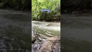 Relaxing water sound  nature water river watersounds relaxing [upl. by Andrej]