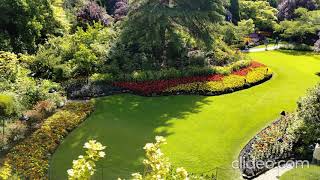 Kinetic Wind Sculpture Butchart Gardens 风动雕塑 [upl. by Chappy]