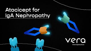 Atacicept for IgA Nephropathy LongTerm Results from the ORIGIN Phase 2b Clinical Trial [upl. by Groveman]