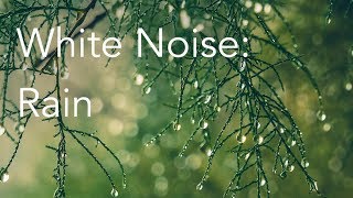 Rain Sounds for Relaxing Focus or Deep Sleep  Nature White Noise  8 Hour Video [upl. by Ardeha]