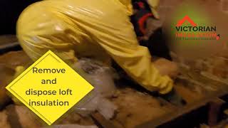 Removal and disposal of Loft Insulation  Victorian Insulation Loft Boarding Specialist [upl. by Derzon]