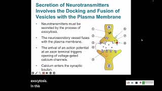 Signal Transduction 8 Synaptic Transmission and Signal Integration [upl. by Adnuahsal]