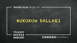 HTK3 HUKUKUN DALLARI Kamu Hukuku  Özel Hukuk Hukukun Temel Kavramları [upl. by Clarie943]