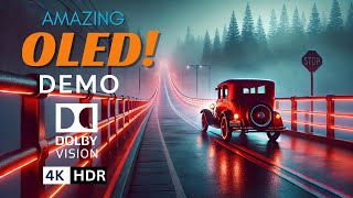 REAL 4K HDR 60FPS Dolby Vision  4K Video ULTRA HD [upl. by Lotte199]