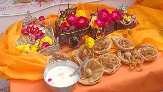 Tulsi vivah calibration tulsivivah tulsimaa laxminarayan festival hindu hindufestival [upl. by Liw629]