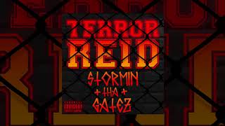 Terror Reid  Stormin Tha Gatez [upl. by Etam]