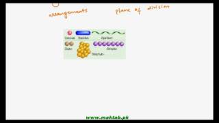 FSc Biology Book1 CH 6 LEC 2 Occurence and Shapes of Bacteria [upl. by Arteid]