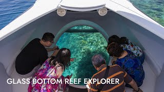 Glass Bottom Reef Explorer  Shore Excursion  NCL [upl. by Axela834]