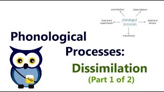 Phonological Processes Dissimilation Part 1 of 2 [upl. by Malvia521]