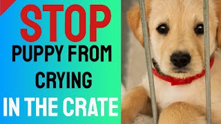 Stop Puppy From Crying in the Crate  Crate Training Tips [upl. by Hayward560]