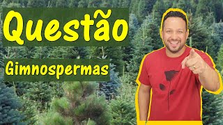 Gimnospermas  Questão  Grupos Vegetais  Botânica [upl. by Gunar503]