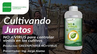 NO  VIRUS para controlar virosis en los cultivos [upl. by Anitrebla]