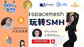 第2集 Spacemesh 如何玩转SMH？ spacemesh SMH web3 大鱼谈链爱 小范同学996 POW 显卡 挖矿 [upl. by Llywellyn]