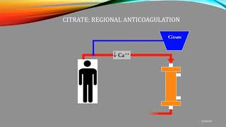 Citrate Anticoagulation Quick Review [upl. by Namzaj]