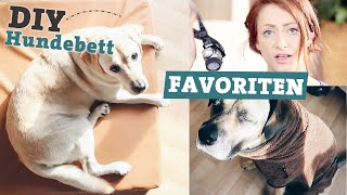 FAVORITEN Hundezubehör  DIY Hundebett selber machen  Bademantel für Hunde [upl. by Ateekram]