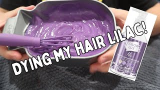 Dying My Hair Lilac [upl. by Annirtak]