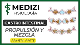 Clase 45 Fisiología Gastrointestinal  Propulsión y Mezcla Parte 1 12 IGdoctorpaiva [upl. by Joselow462]