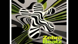 Zebra Beatz  Zebra Acid Original Acid Mix [upl. by Lela]