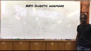 Antidiuretic Hormone ADH [upl. by Bleier]