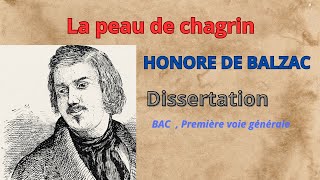 LA PEAU DE CHAGRIN dHonoré de Balzac [upl. by Aloel]