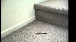 Cat Damages Stair Carpeting  Stairway Maintenance [upl. by Jasen]