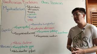 Clasificación Bacteriana 4 Otras técnicas [upl. by Suoirtemed318]